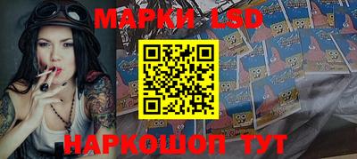 a pvp Камышлов