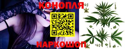 крисы Канаш