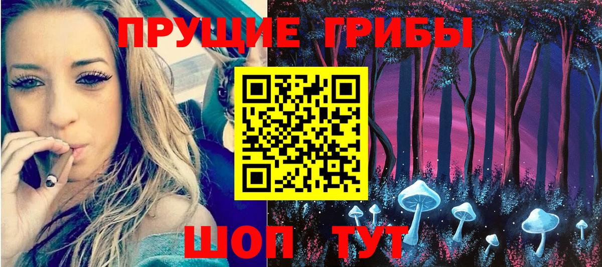 Псилоцибиновые грибы GOLDEN TEACHER Зерноград