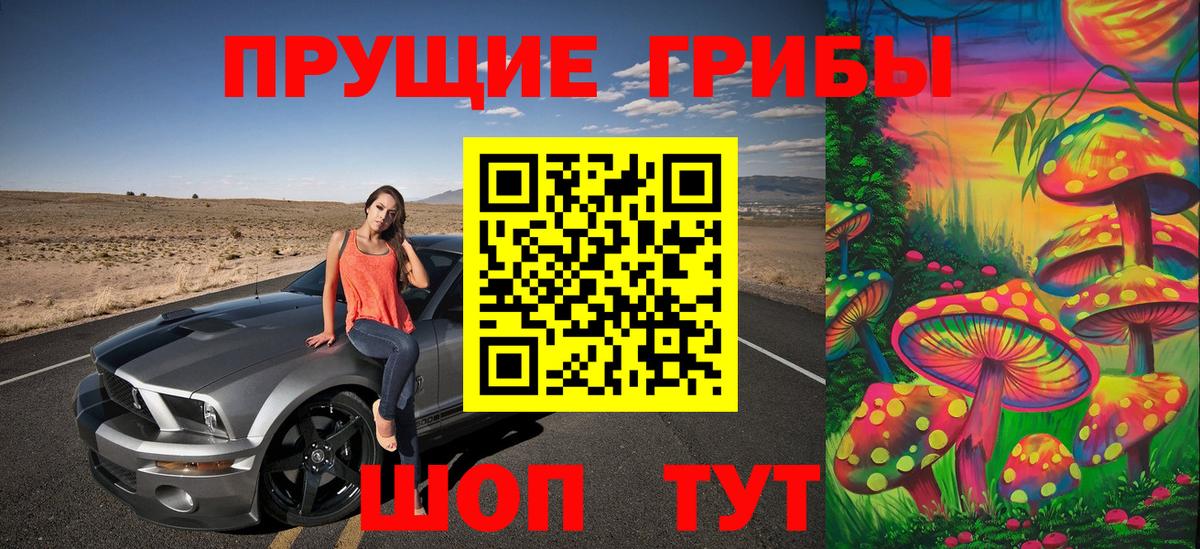 Зерноград  Псилоцибиновые грибы MAGIC MUSHROOMS  Вход с VPN  Галлюциногенные грибы Psilocybine cubensis 